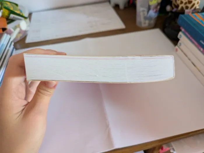 Livre Lucie et sa Licorne - photo numéro 6