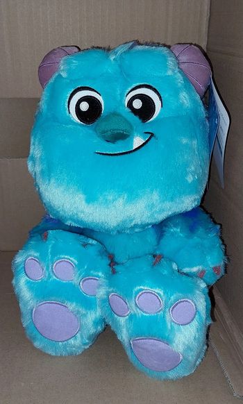 Pick-up Sulley big feet Disney