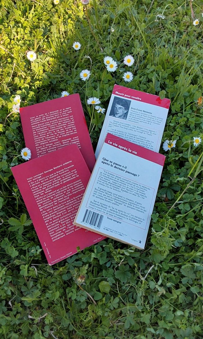 Lot de 4 livres Aventure Mystérieuse - photo numéro 5