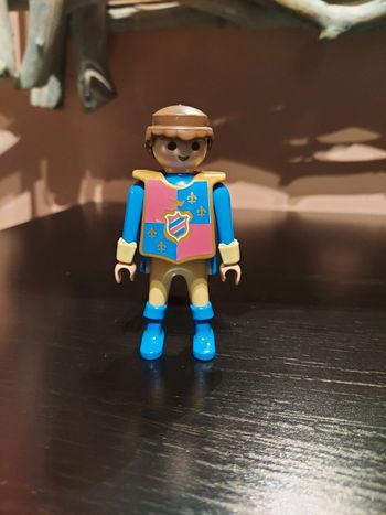 Chevalier Playmobil