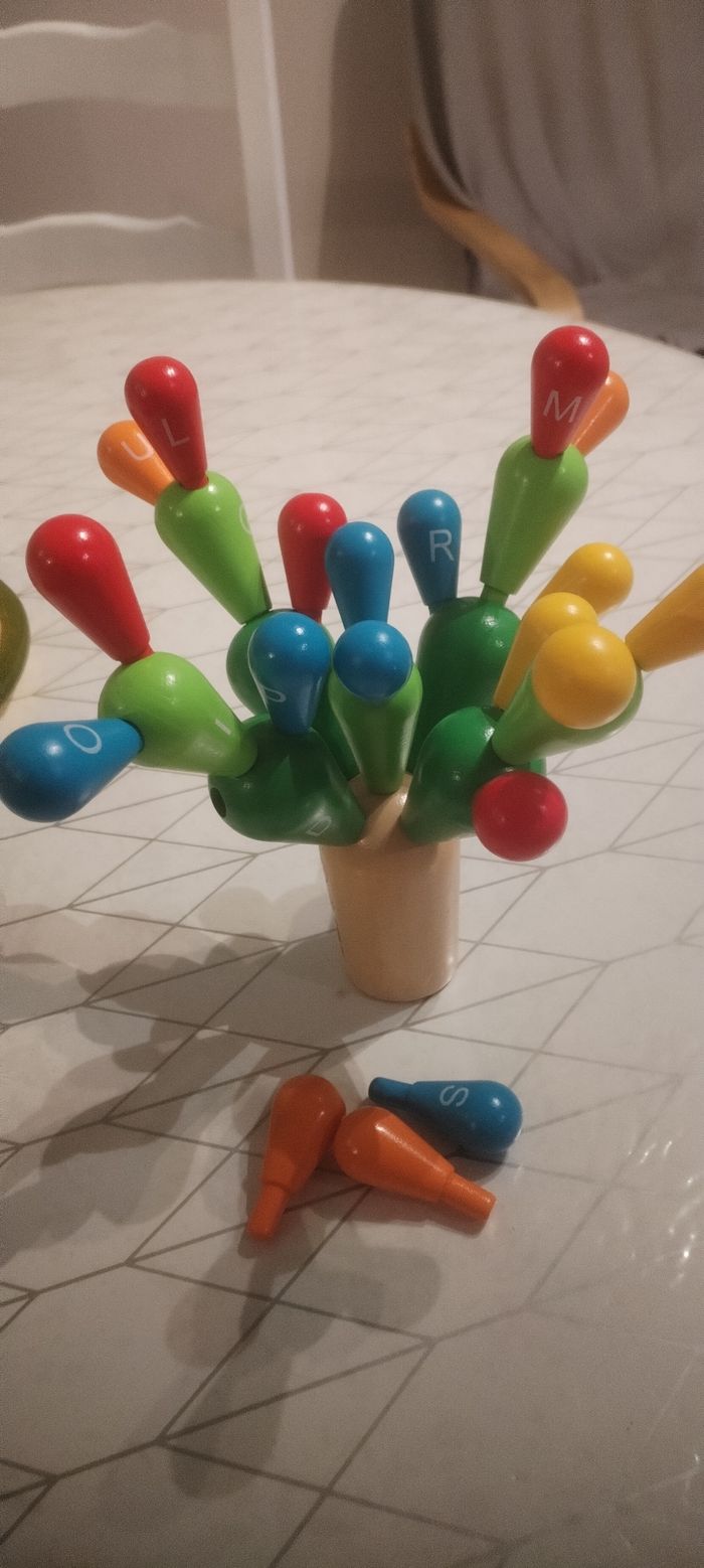Jeux d'emboitement de cactus - photo numéro 2