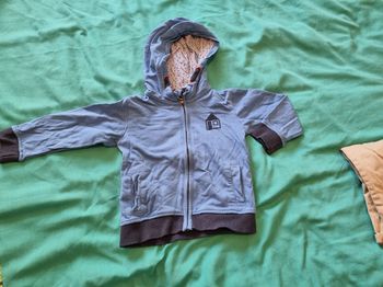 Lot de pull et gilets 18 mois