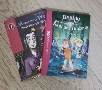 Livres de la Bibliothèque Rose mais pas que que...