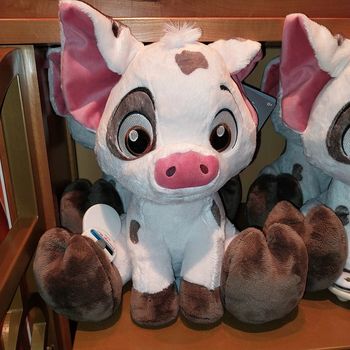 Pick-up Pua Big feet Disney