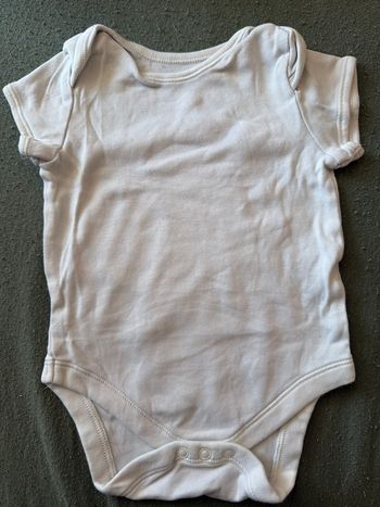Body manches courtes