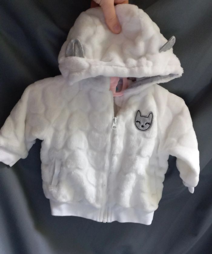 Gilet capuche petit 🐱 chat