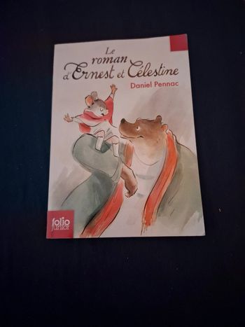 Le roman d'ernest et célestine