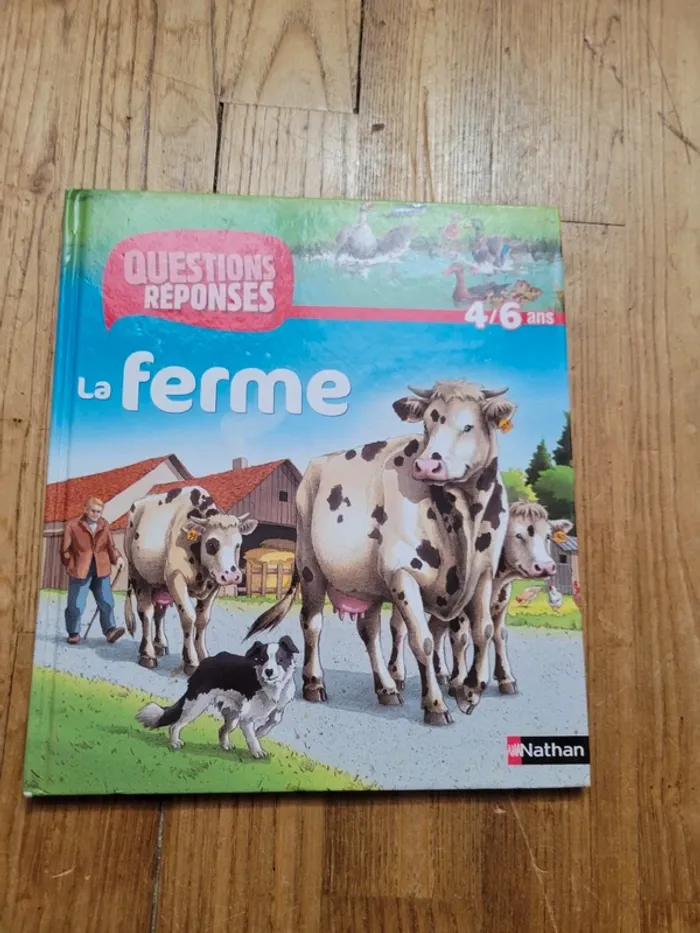 Lot 5 livres de la série "questions réponses" - photo numéro 11