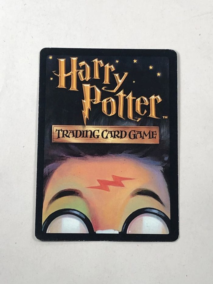 Robe en porc-épic carte Harry potter - photo numéro 2