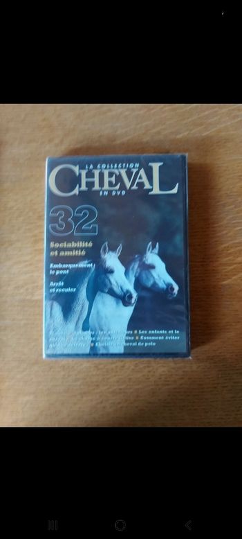 DVD