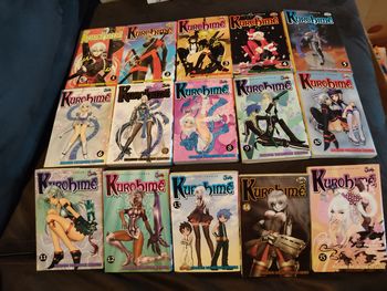 Mangas manga Kurohimé tomes 1 à 15