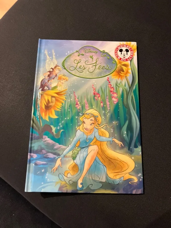 Livre pour enfants Disney les fées