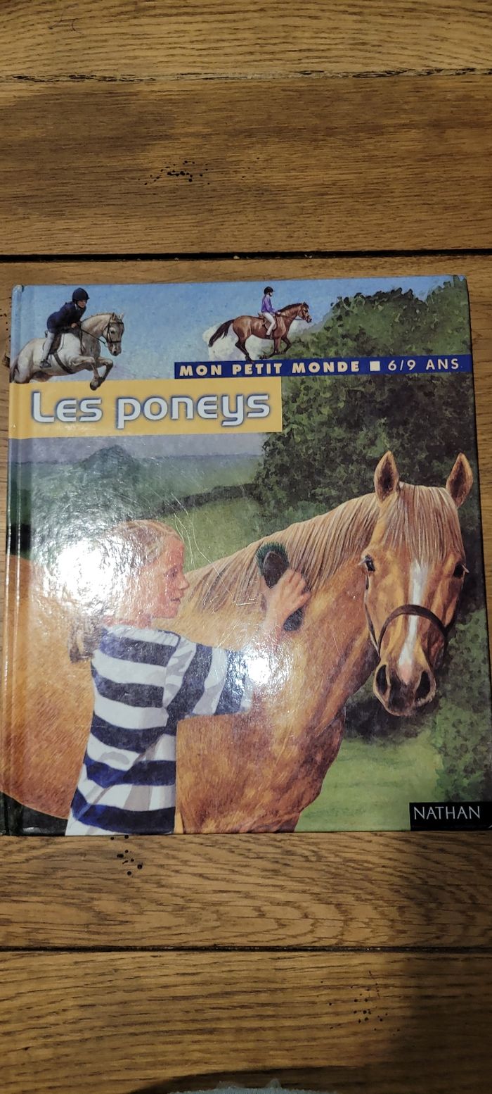Les poneys - photo numéro 1