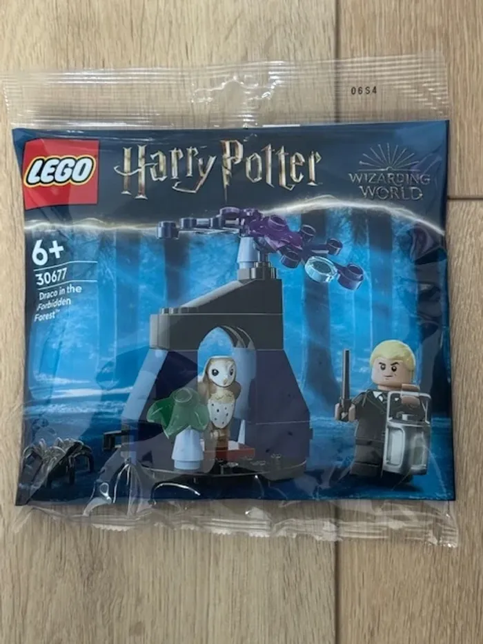 LEGO 30677 : Drago dans la Forêt interdite