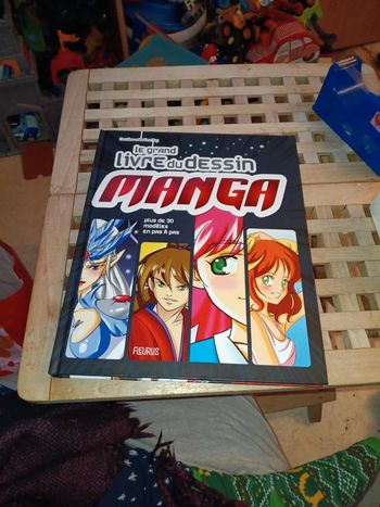Livre pour dessiner des modèles manga
