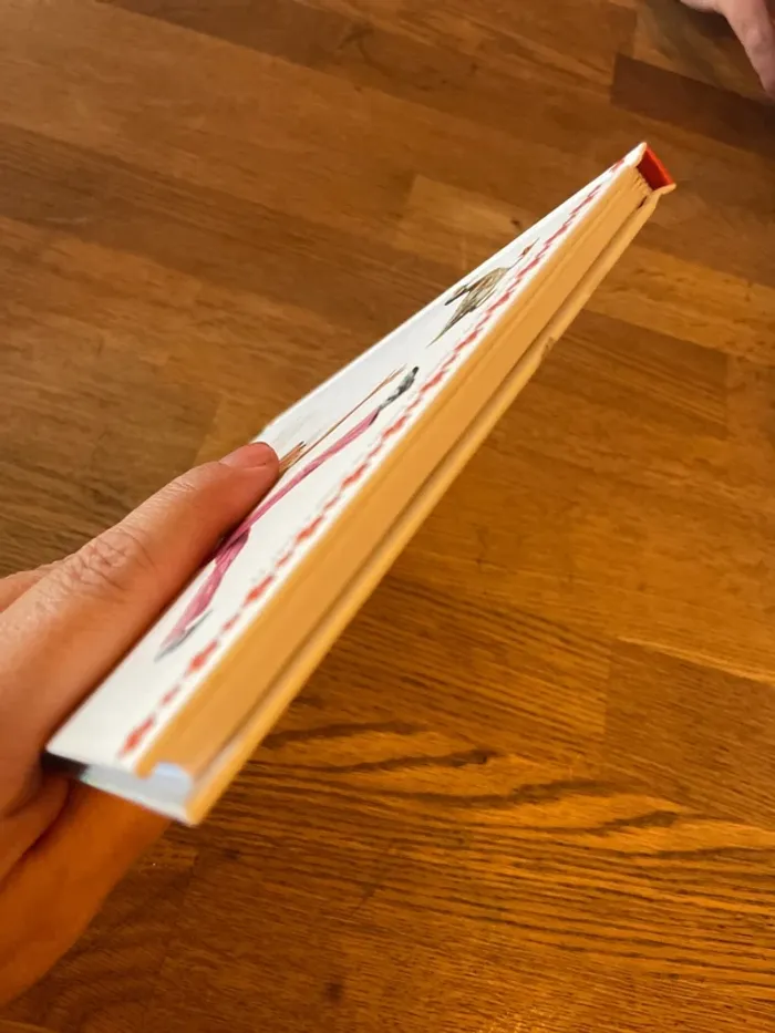 Livre Martine chez tante Lucie - photo numéro 6