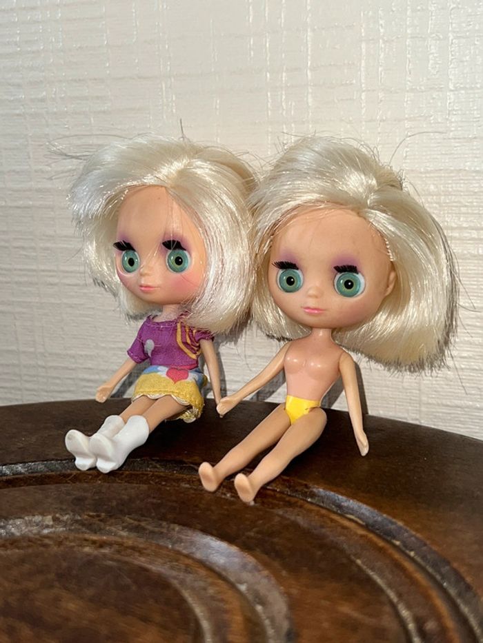 Poupée blythe Littlest petshop Hasbro 2010 - photo numéro 6