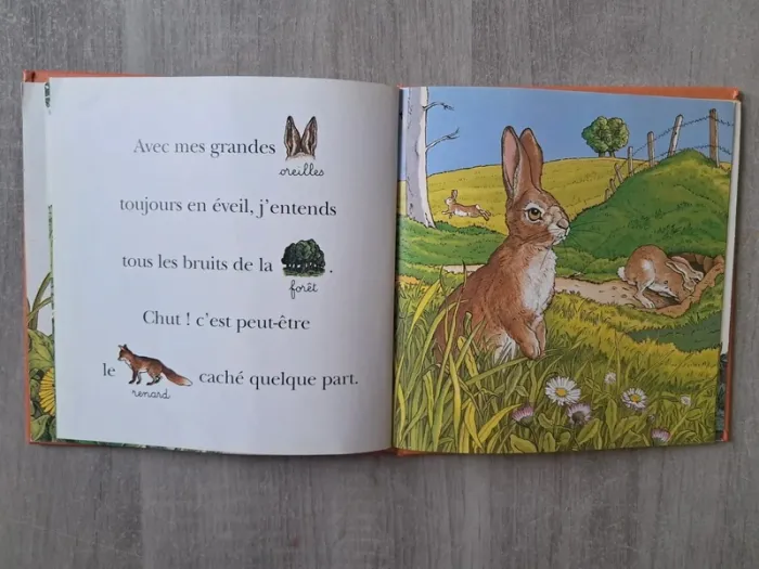 Livre la journée du petit lapin bonjour édition Lito - photo numéro 3
