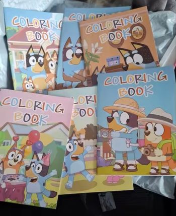 Lot 6 petits cahier coloriage bluey