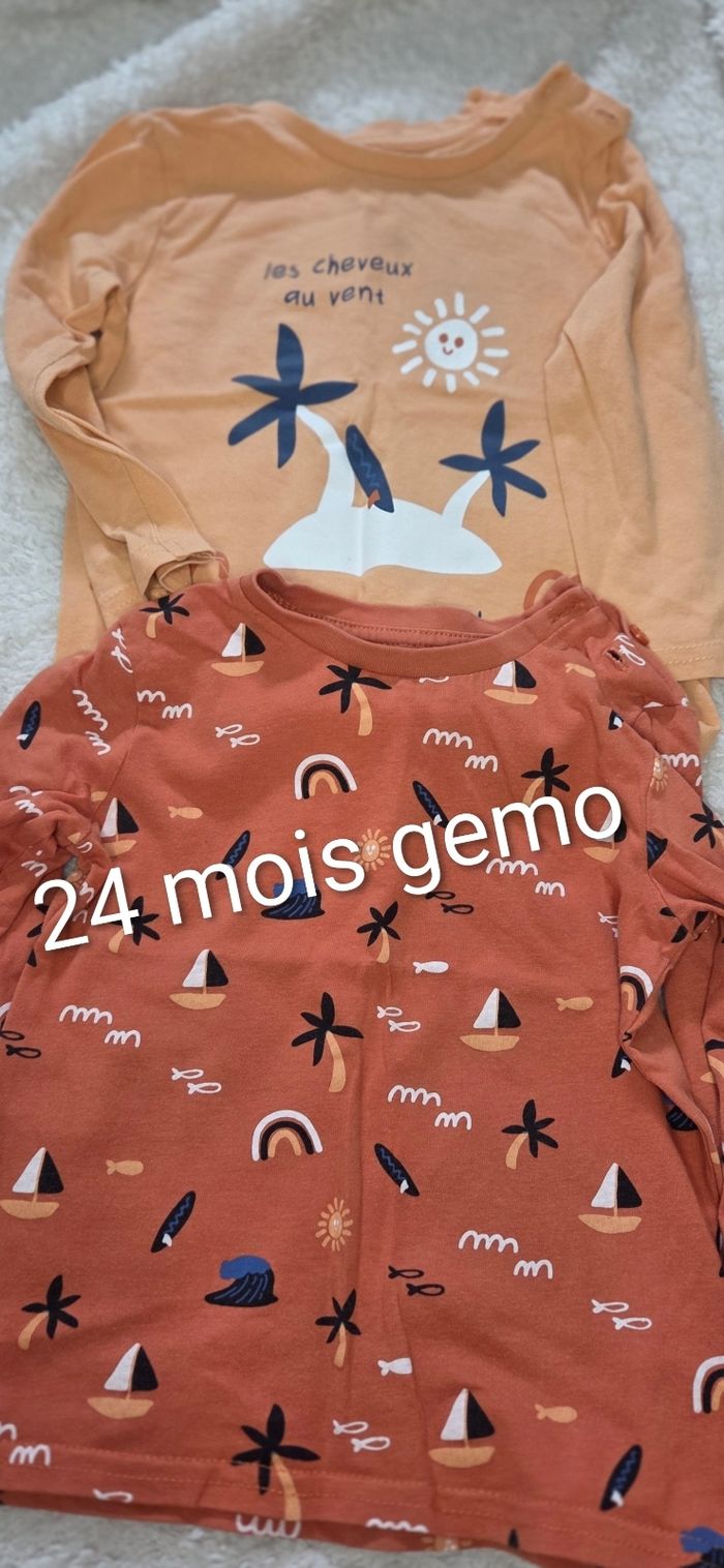 Lot 2 tee-shirts manches longues 24 mois gemo