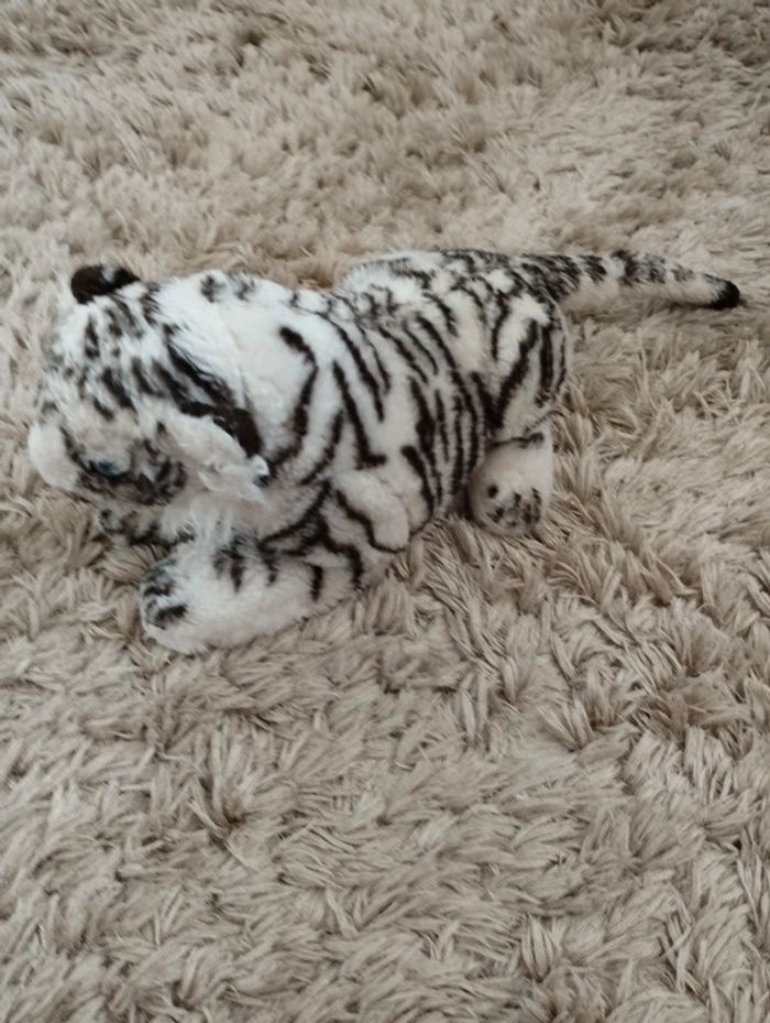 Tigre blanc - photo numéro 2