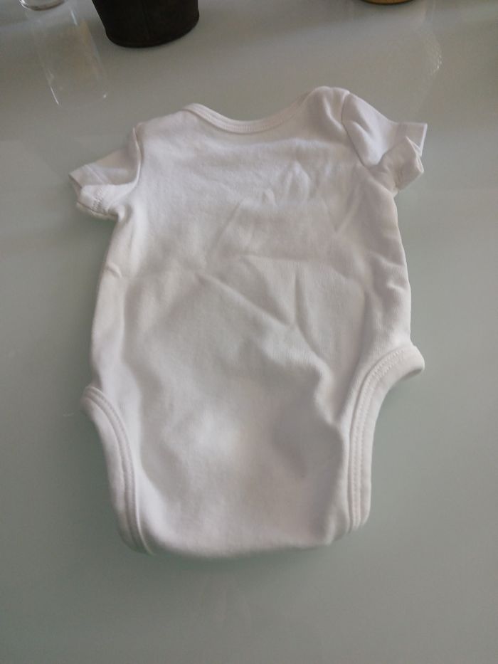 BODY MANCHES COURTES DPAM - photo numéro 4