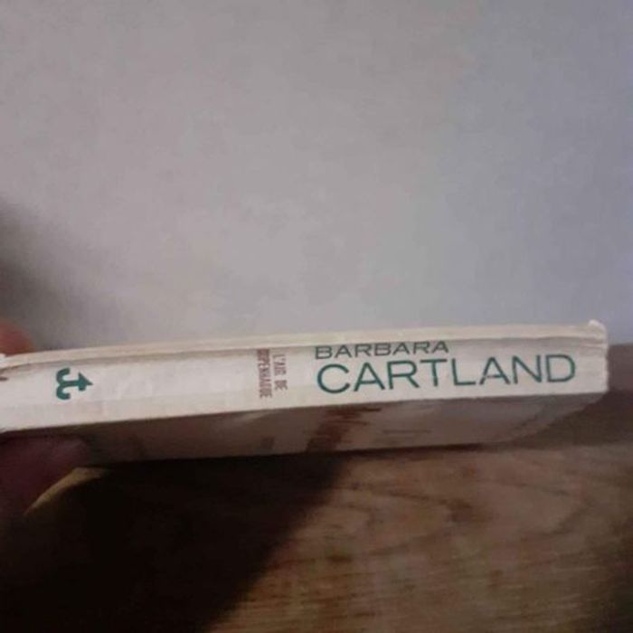 L''air de Copenhague de Barbara Cartland - photo numéro 2