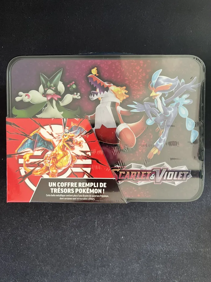 Valisette Dracaufeu – ID751 - photo numéro 2