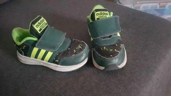 Adidas verte