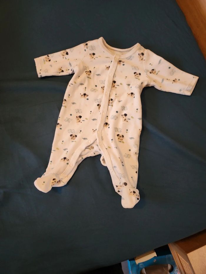Pyjama chien 🐕