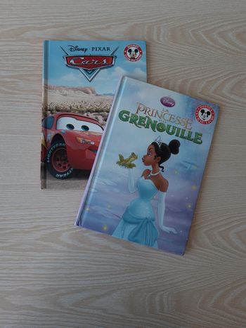 Lot de 2 livres disney