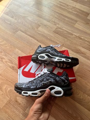 Nike air max plus tn gris amp