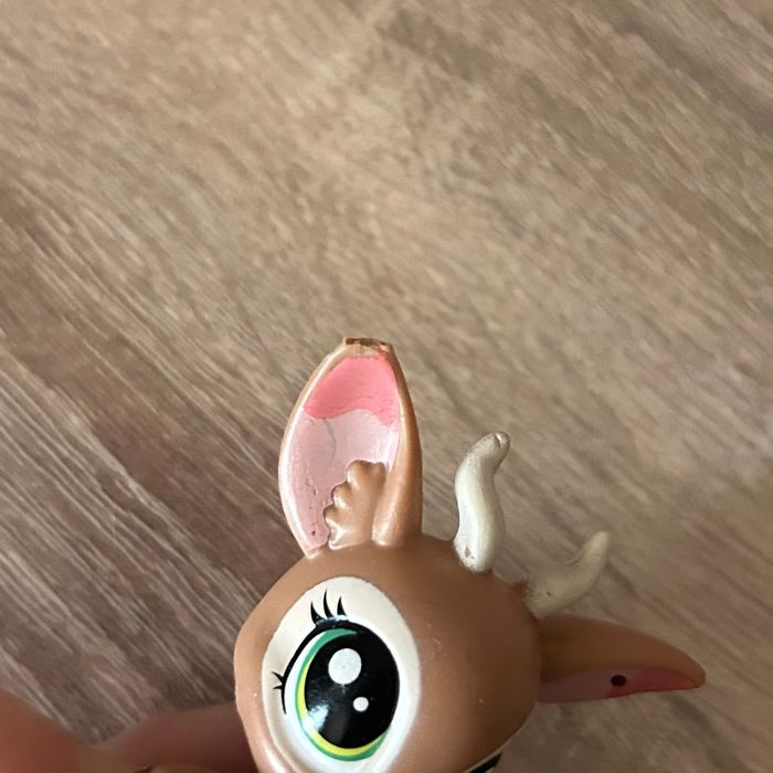 Petshop Cerf #3888 - photo numéro 4