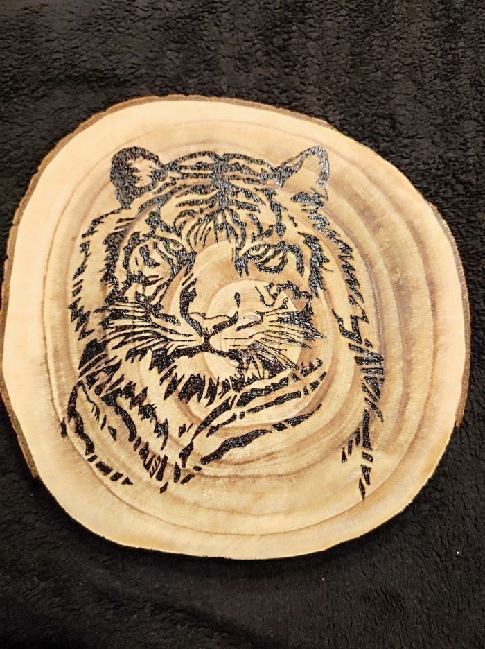Rondin de bois tigre