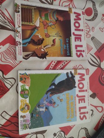 Lot Livres Moi je lis