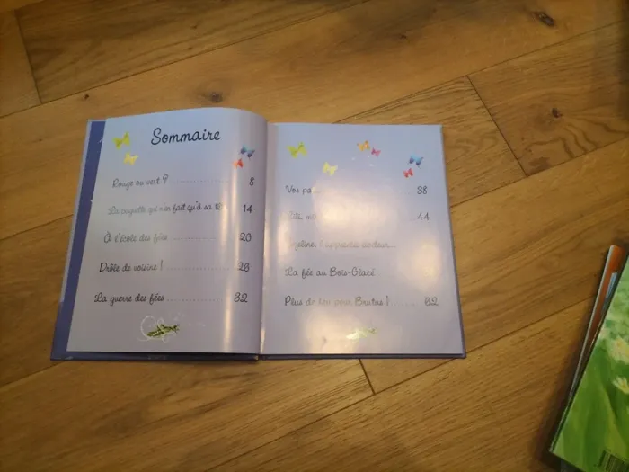 Livre des histoires de fées et de sorcière. - photo numéro 3