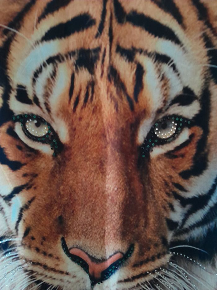 Débardeur tigre, taille 42/44, Marque Paris et moi - photo numéro 2