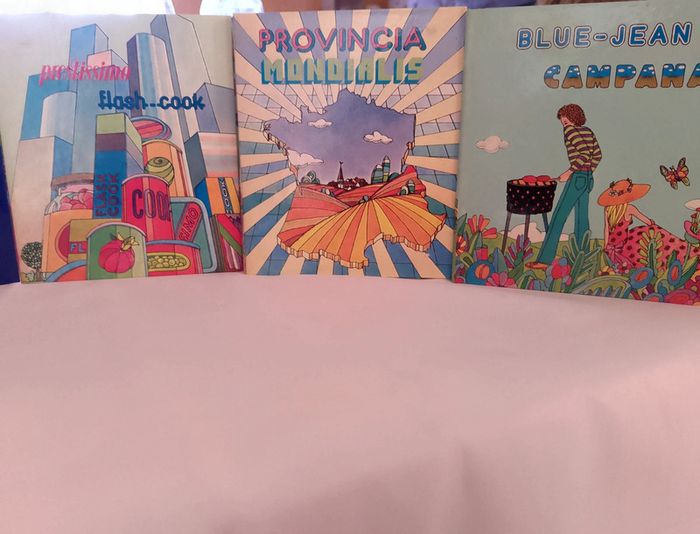 Livres fiches cuisine classeur x 6 - photo numéro 2