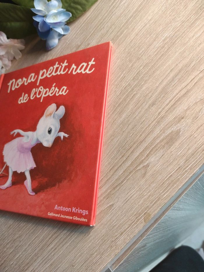 Nora petit rat de l’Opéra – Drôles de Petites Bêtes – Gallimard Jeunesse - photo numéro 2
