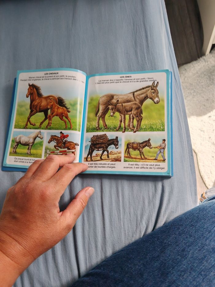 L'imagier des animaux - photo numéro 3