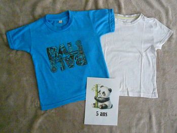 Lot de 2 tee-shirts garçon 5 ans (n°12bis)