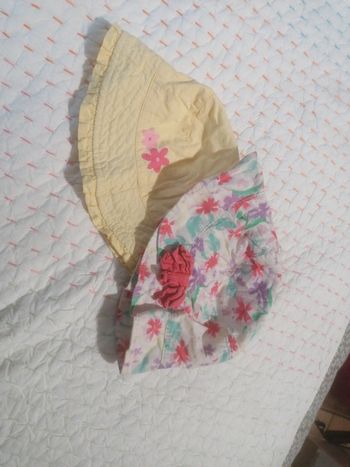 Lot 2 chapeaux
