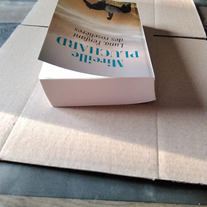 Luna, l’ enfant des roselières Mireille Pluchard - photo numéro 5