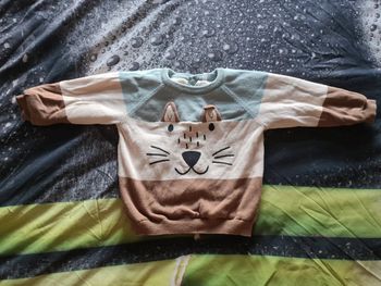 Pull polaire