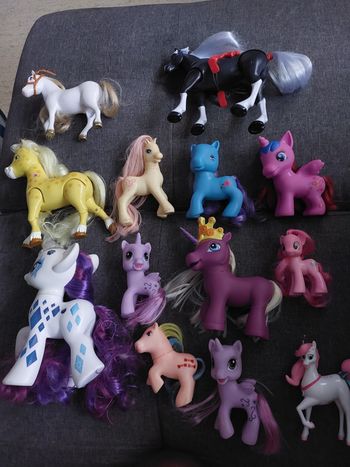 Lot cheval