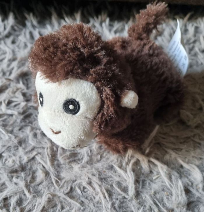 Petite peluche singe