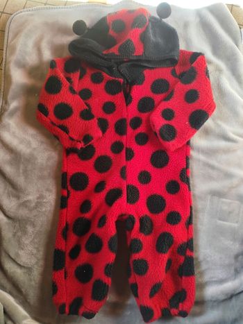 Déguisement coccinelle 12 mois 