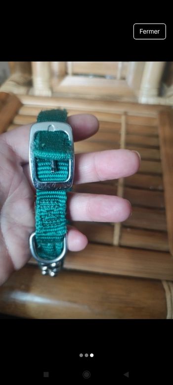 Collier chien 
Pour petit chien ok