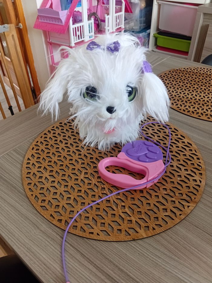 Chiot gogo marcheur interactif