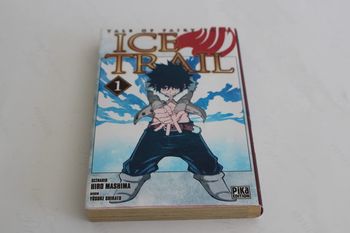 Tale of Fairy Tail Ice Trail Tome 1